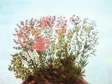 Large Composition with Flowers Artwork by André Bauchant