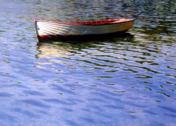 Albatross At Deborah Bay Artwork by Grahame Sydney