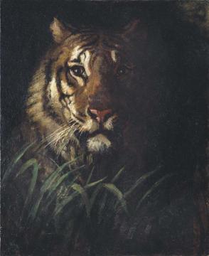 Tiger's Head Artwork by Abbott Handerson Thayer