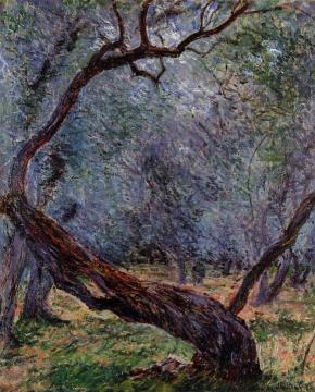 Study of Olive Trees Artwork by Claude Oscar Monet