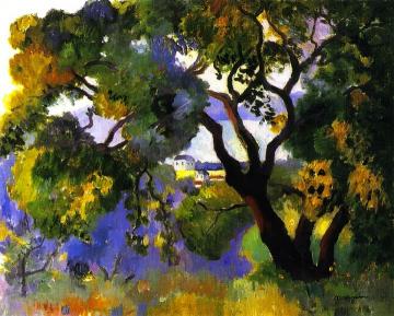 Landscape At St Tropez Artwork by Henri Manguin