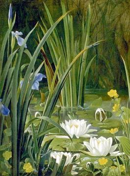 Waterlilies Artwork by Arnold Winther