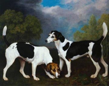 A Couple Of Foxhounds Artwork by George Stubbs