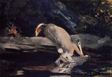 Fallen Deer Artwork by Winslow Homer