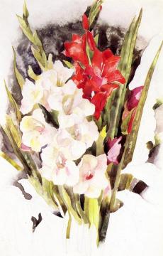 Gladiolus Artwork by Charles Demuth