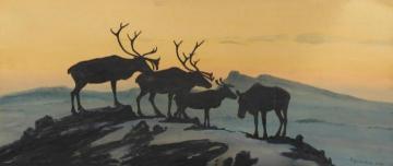 Reindeer (Reinsdyr) Artwork by Thorolf Holmboe
