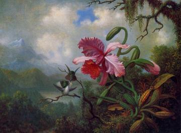 Orchid and Hummingbirds near a Mountain Lake Artwork by Martin Johnson Heade