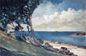 North Road, Bermuda Artwork by Winslow Homer