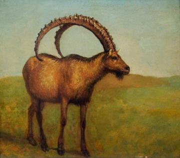 Ibex Artwork by Jacques-Laurent Agasse