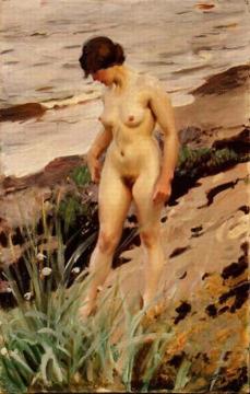 Nude by the Shore Artwork by Anders Zorn