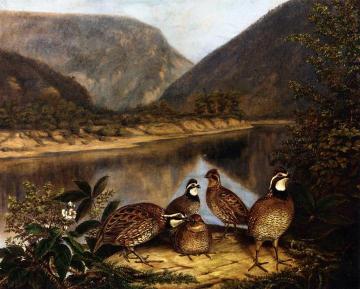 Five Bobwhites at the Delaware Water Gap Artwork by Titian Ramsey Peale II