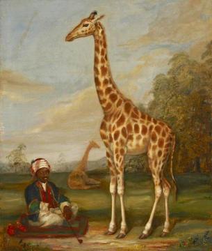 Two Giraffes with a Seated Indian Attendant in a Savannah Landscape Artwork by Jacques-Laurent Agasse