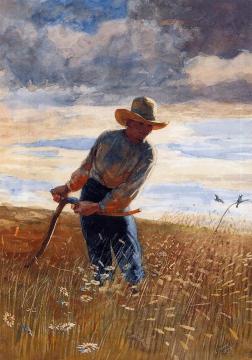 The Reaper Artwork by Winslow Homer