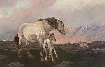 Horses And Wolf In The Mountains Artwork by Elisabeth Sinding