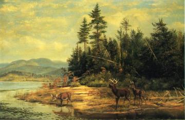 View on Long Lake Artwork by Arthur Fitzwilliam Tait
