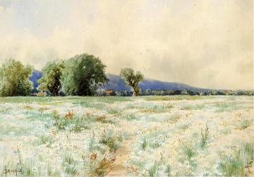 The Daisy Field Artwork by Alfred Thompson Bricher