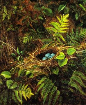 Still LIfe with Robin's Nest Artwork by Fidelia Bridges