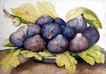 Nature Morte Au Figues Artwork by Giovanna Garzonni