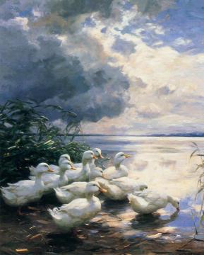 Ducks in the Morning Artwork by Alexander Koester