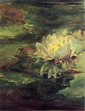 Water Lily Among Pads Artwork by John La Farge