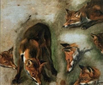 Studies of a Fox Artwork by Pieter Boel