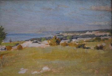 Gotland (study) Artwork by Johan Krouthén