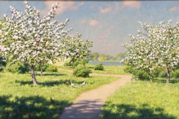 Trees in Blossom Artwork by Johan Krouthén