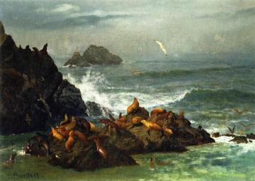 Seal Rocks, Pacific Ocean, California Artwork by Albert Bierstadt