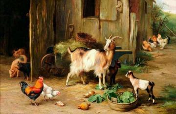 A Farmyard scene with goats and chickens Artwork by Edgar Hunt