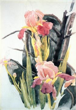 Flowers: Irises Artwork by Charles Demuth