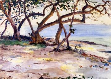 The Beach Looking West Artwork by Frank Weston Benson