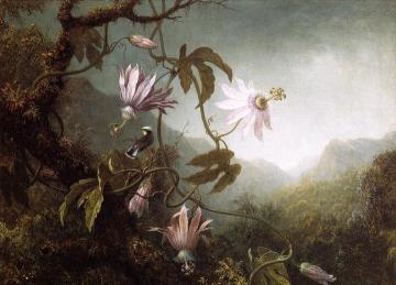 Hummingbird Perched near Passion Flowers Artwork by Martin Johnson Heade