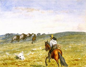 Buffalo on the Prarie Artwork by William George Richardson Hind
