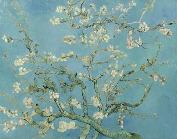 Branches With Almond Blossom Artwork by Vincent Van Gogh