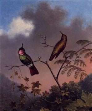 Brazilian Ruby Hummingbirds Artwork by Martin Johnson Heade