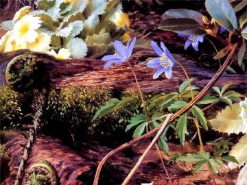 Untitled Artwork by Raymond Booth