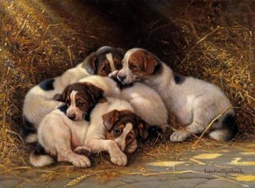 Four Puppies in a Haystack Artwork by Valentine Thomas Garland