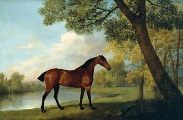 Bay Hunter By A Lake Artwork by George Stubbs