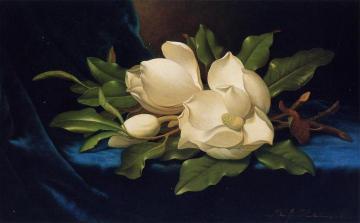 Giant Magnolias on a Blue Velvet Cloth Artwork by Martin Johnson Heade