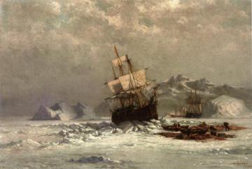 Locked In Ice Artwork by William Bradford