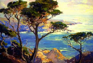 A Lonely Headland, Point Lobos Artwork by Franz Bischoff