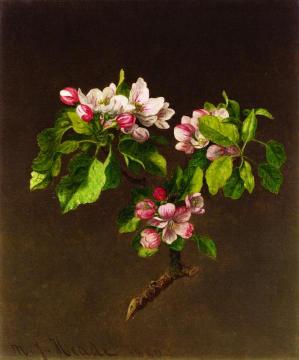 Apple Blossoms Artwork by Martin Johnson Heade
