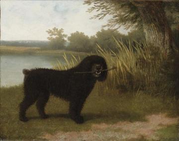 A black water dog with a stick by a lake Artwork by Jacques-Laurent Agasse
