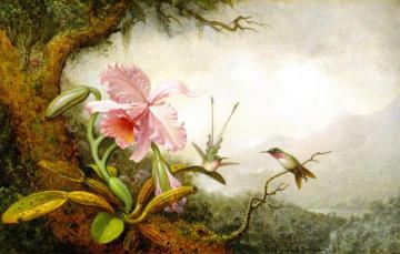 Hummingbirds and Orchids Artwork by Martin Johnson Heade