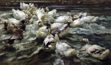 Ducks in a Pond Artwork by Alexander Koester