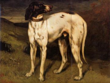A Dog From Ornans Artwork by Gustave Courbet