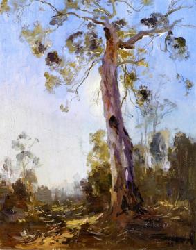 Before The Light Artwork by Penleigh Boyd