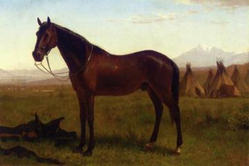 Portrait of a Horse Artwork by Albert Bierstadt
