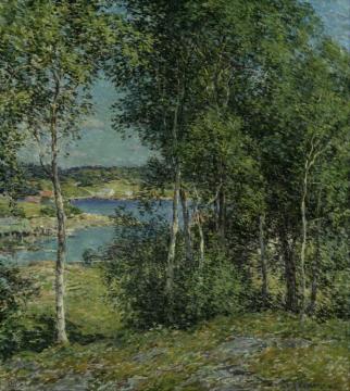 A Family Of Birches Artwork by Willard Leroy Metcalf