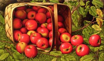 Basket of Apples Artwork by Levi Wells Prentice